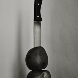 Exhibition "Campus Stellae"