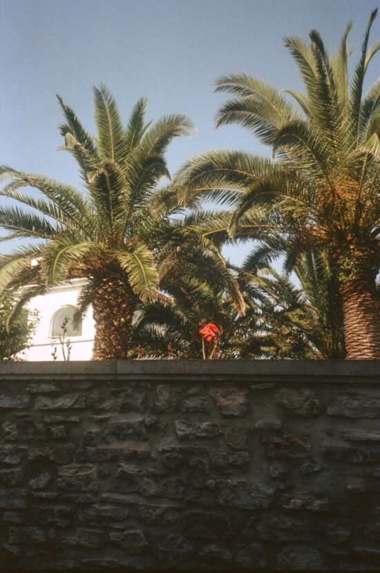 250829000086650033_2